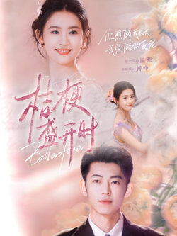 桔梗盛开时(她的小桔梗)
