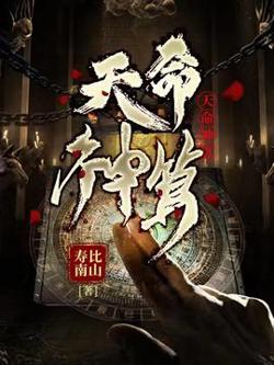 天命神算高清播放