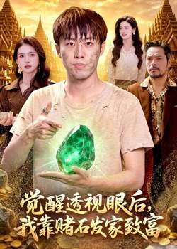 觉醒透视眼后，我靠赌石发家致富高清播放