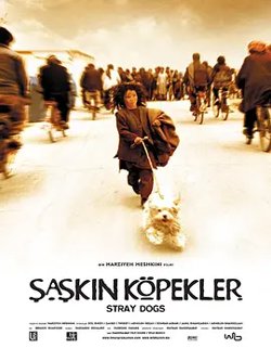流浪狗2004[电影解说]高清播放