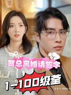 贺总离婚请签字在线观看