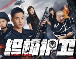 终极护卫在线观看