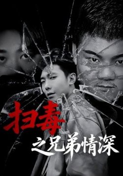 扫毒之兄弟情深高清播放