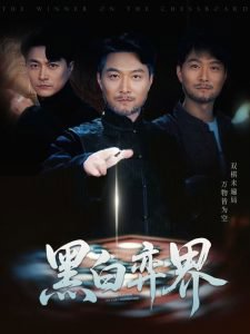 黑白弈界高清播放