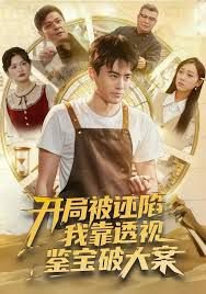 开局被诬陷，我靠透视鉴宝破大案
