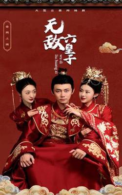 无敌六皇子高清播放