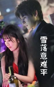 雪落意难平高清播放