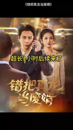 错把真龙当赘婿高清播放