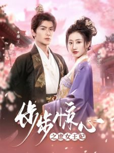 步步惊心之庶女王妃在线观看