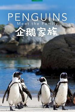 企鹅家族在线观看