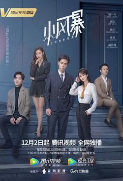 小风暴之时间的玫瑰高清播放