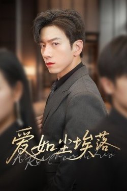 爱如尘埃落高清播放