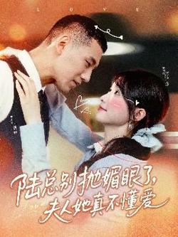 陆总别抛媚眼了夫人她真不懂爱高清播放