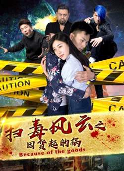 扫毒风云之因货起的祸高清播放
