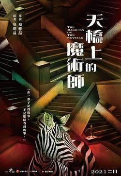 天桥上的魔术师高清播放