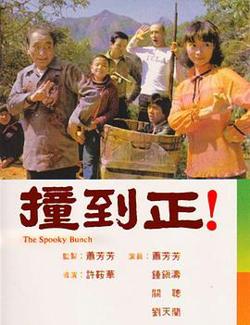 撞到正(剧情解说）高清播放