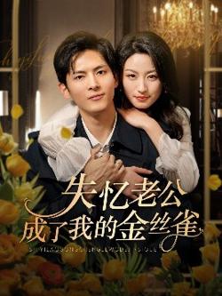 失忆老公成了我的金丝雀高清播放