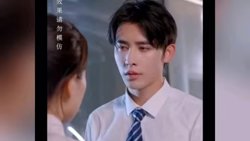 整个娱乐圈都在等我们离婚在线观看
