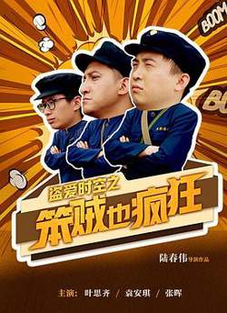 盗爱时空之笨贼也疯狂在线观看