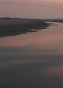 两个爸爸的故事​高清播放