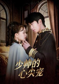 少帅的心尖宠