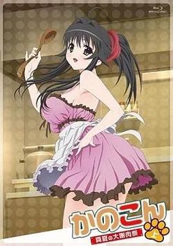 我的狐仙女友：真夏的大谢肉祭·上高清播放