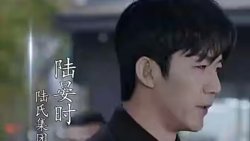 抢婚！陆总蓄谋已久在线观看