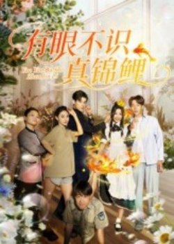 有眼不识真锦鲤高清播放