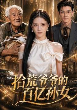 拾荒爷爷的百亿孙女高清播放