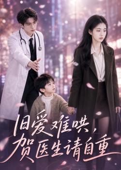 旧爱难哄:贺医生请自重高清播放