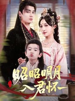 昭昭明月入君怀在线观看