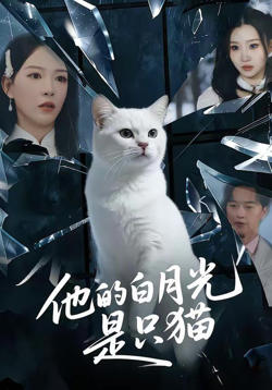他的白月光是只猫高清播放