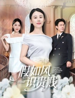假如风识贵贱高清播放