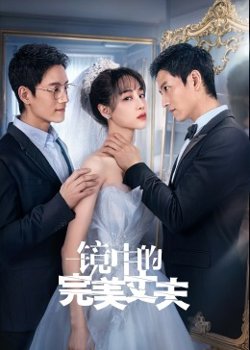 镜中的完美丈夫在线观看