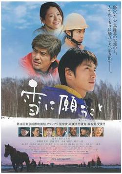 向雪祈祷在线观看