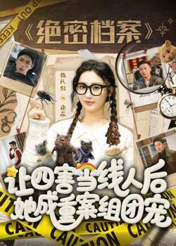 让四害当线人后，她成重案组团宠