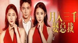 月入三千娶总裁在线观看