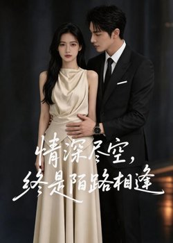 情深尽空,终是陌路相逢在线观看