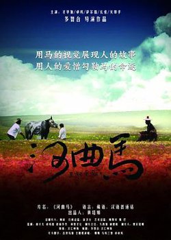 河曲马在线观看