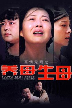 真情无限之养母生母在线观看