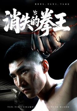 消失的拳王高清播放