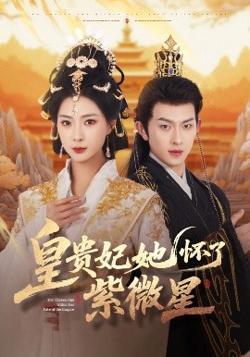 皇贵妃她怀了紫薇星高清播放