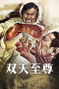 双天至尊高清播放