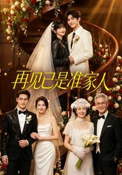 再见已是准家人高清播放