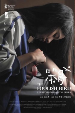 笨鸟高清播放