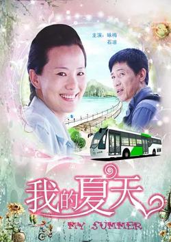 我的夏天【影视解说】在线观看