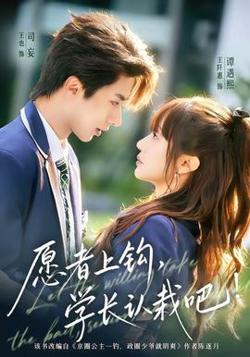 愿者上钩，学长认栽吧在线观看