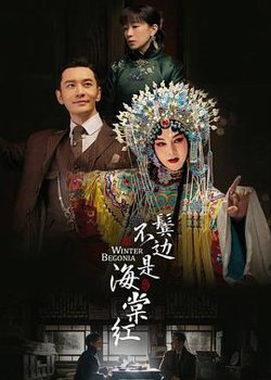 鬓边不是海棠红高清播放