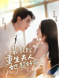 裴教授，重生夫人她超好命高清播放
