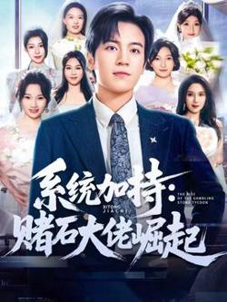 统加持：赌石大佬崛起高清播放